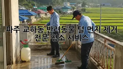 파주 교하동 반려동물 털, 먼지 제거 전문 청소 서비스