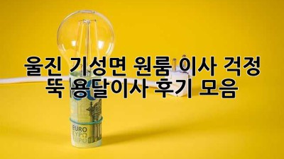 울진 기성면 원룸 이사? 걱정 뚝! 용달이사 후기 모음