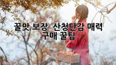 꿀맛 보장! 🍯 #산청단감 매력 & 구매 꿀팁