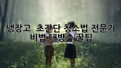 냉장고 🧽✨ 초간단 청소법! 전문가 비법 대방출 꿀팁 🍯